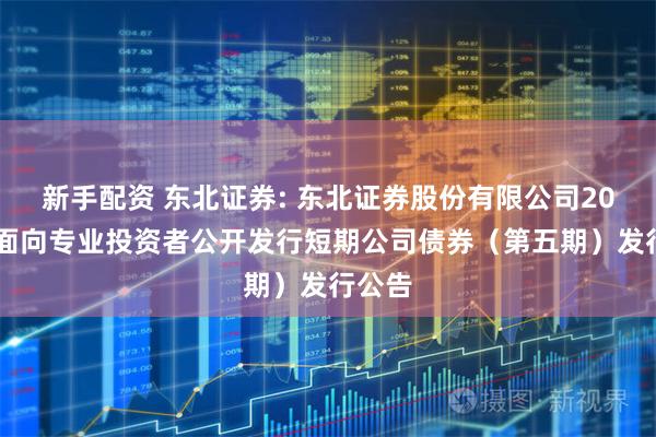 新手配资 东北证券: 东北证券股份有限公司2025年面向专业投资者公开发行短期公司债券(第五期)发行公告
